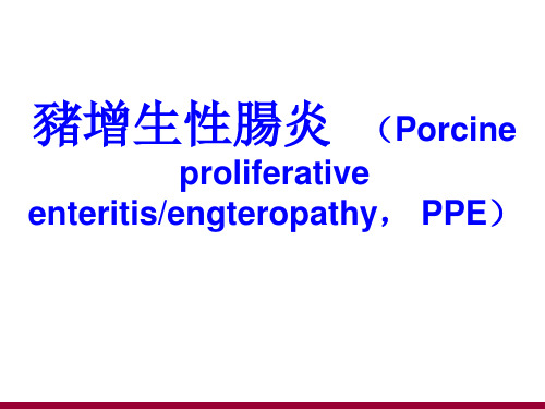 猪增生性肠炎课件