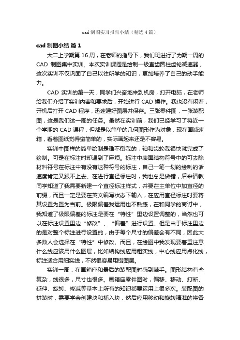 cad制图实习报告小结（精选4篇）