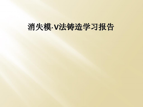 消失模·V法铸造学习报告