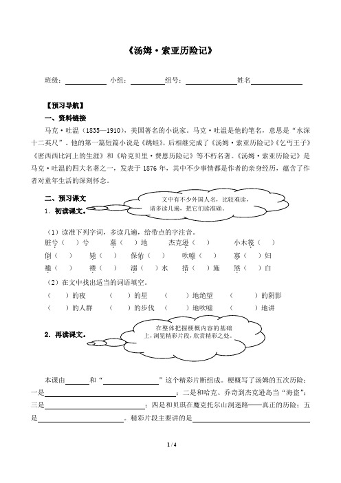 《汤姆·索亚历险记》(含答案)导学案