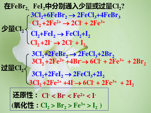 电解PPT教学课件