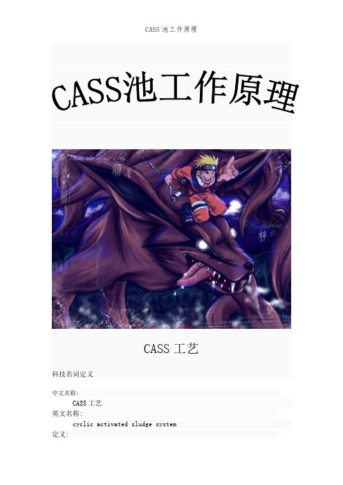 CASS池工作原理