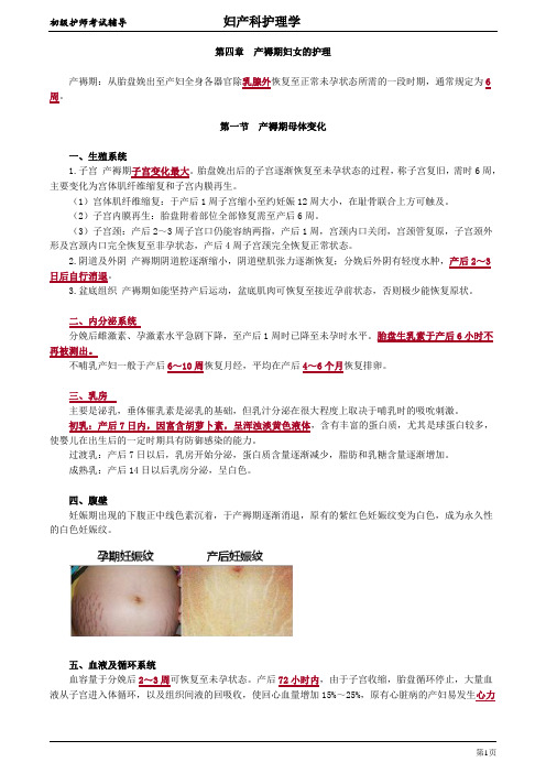 初级护师-妇产科护理学【全】 (4)