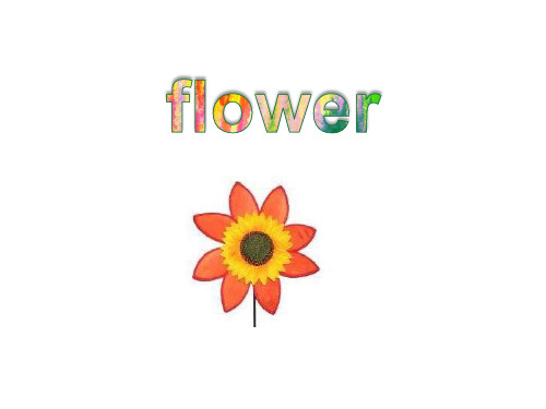 flower