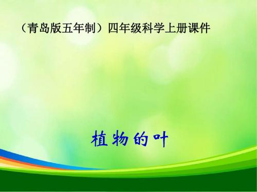 青岛版五年制科学四年级上册《植物的叶》课件之三