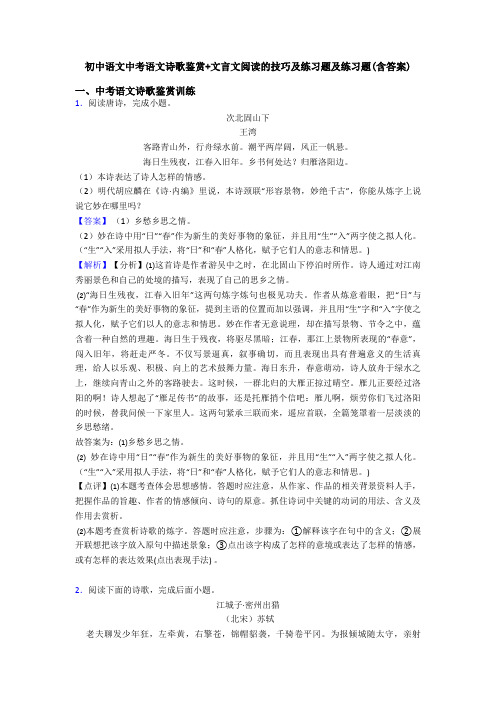 初中语文中考语文诗歌鉴赏+文言文阅读的技巧及练习题及练习题(含答案)