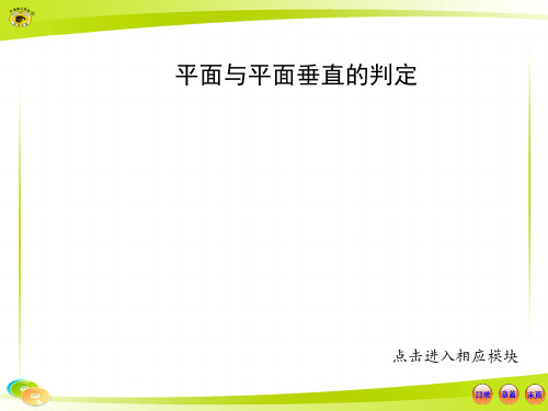 面面垂直的判定习题详细答案  ppt课件