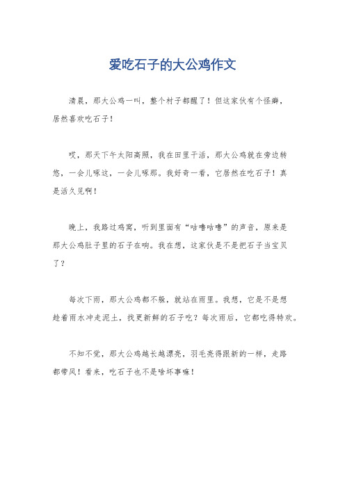 爱吃石子的大公鸡作文