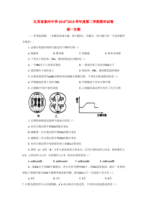 江苏省泰州中学2018_2019学年高一生物下学期期末考试试题