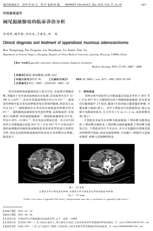 阑尾黏液腺癌的临床诊治分析