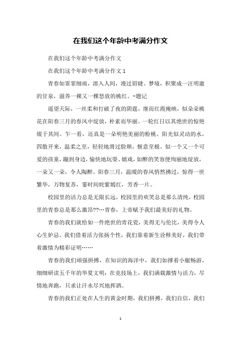 在我们这个年龄中考满分作文