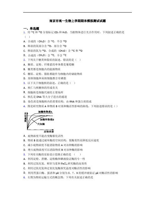 南京市高一生物上学期期末模拟测试试题