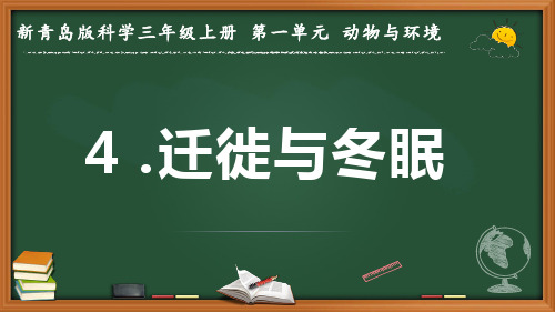 2022-2023学年新青岛版科学三年级上册《迁徙与冬眠》优质课件