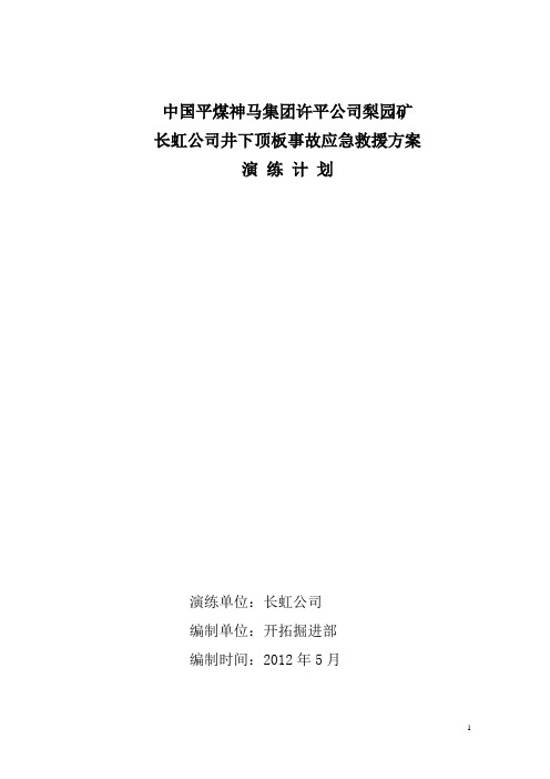 2012长虹顶板应急救援方案演练计划 文档