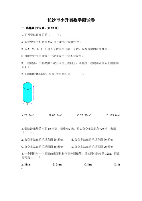 长沙市小升初数学测试卷有精品答案