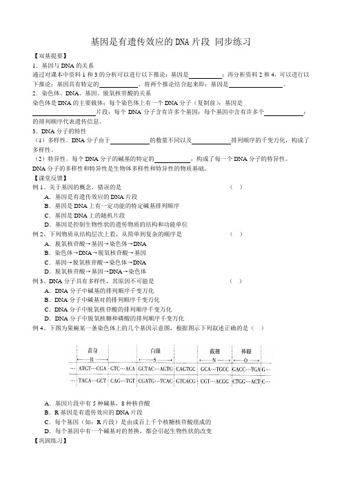 高中生物基因是有遗传效应的DNA片段 同步练习3新课标 人教版 必修2