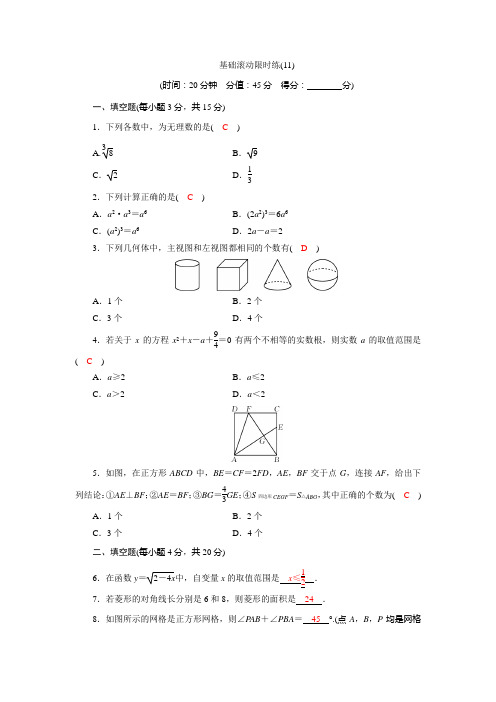 中考数学复习基础训练(有答案)(11)