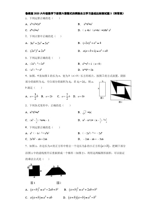 鲁教版2020六年级数学下册第六章整式的乘除自主学习基础达标测试题3(附答案)