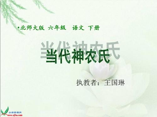 当代神农氏课件(北师大版)