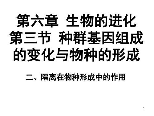 6-3-2隔离在物种形成中的作用课件高一下学期生物人教版必修二