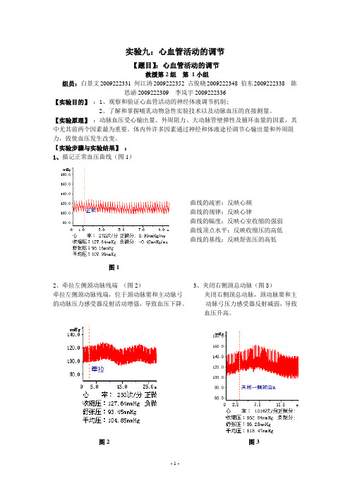 实验九：心血管活动的调节