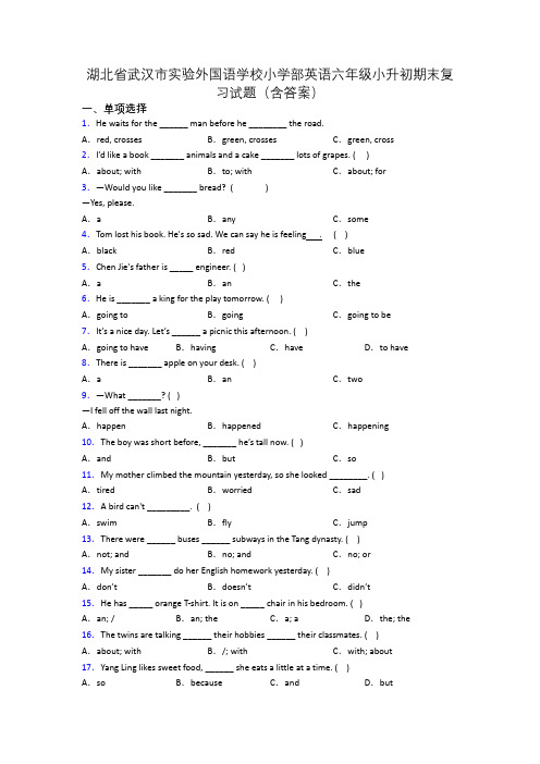 湖北省武汉市实验外国语学校小学部英语六年级小升初期末复习试题(含答案) (2)