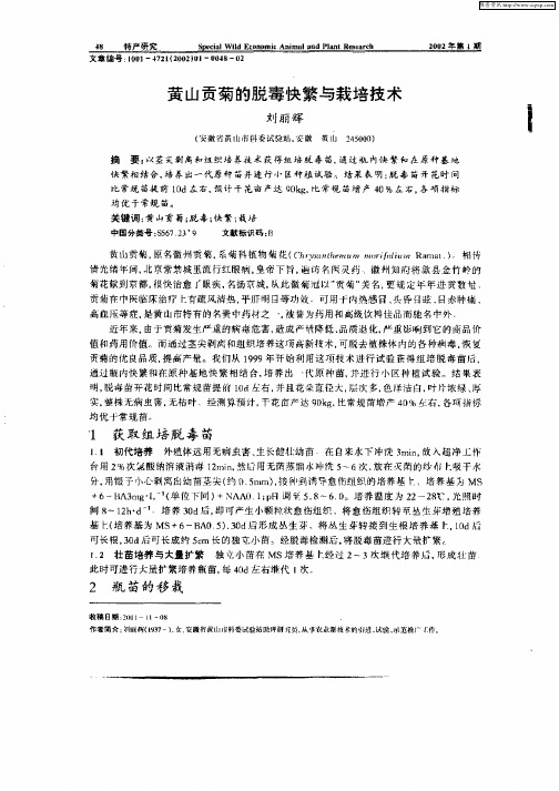 黄山贡菊的脱毒快繁与栽培技术