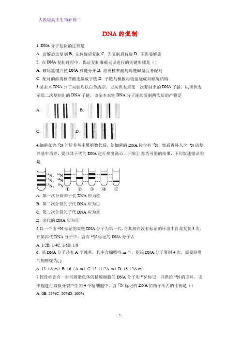 高中生物必修二课时作业27：3.3 DNA的复制