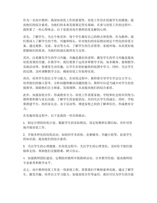 高中教师培优见解心得体会