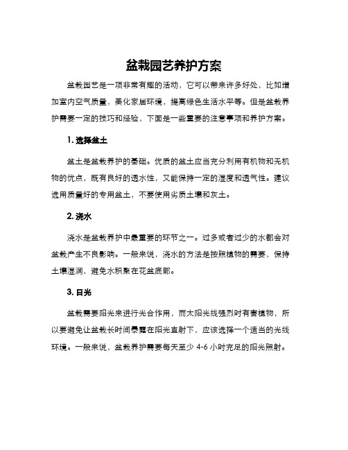 盆栽园艺养护方案