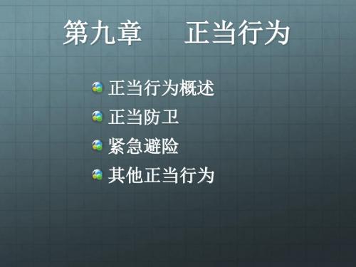 1.9第九章正当行为剖析.