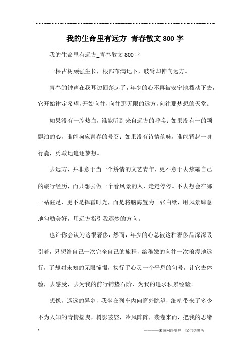 我的生命里有远方_青春散文800字