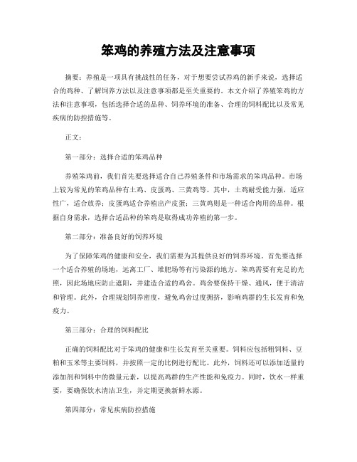 笨鸡的养殖方法及注意事项