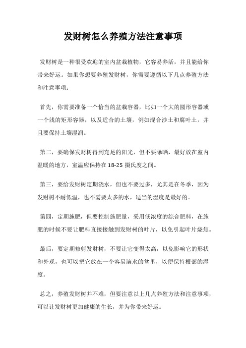 发财树怎么养殖方法注意事项