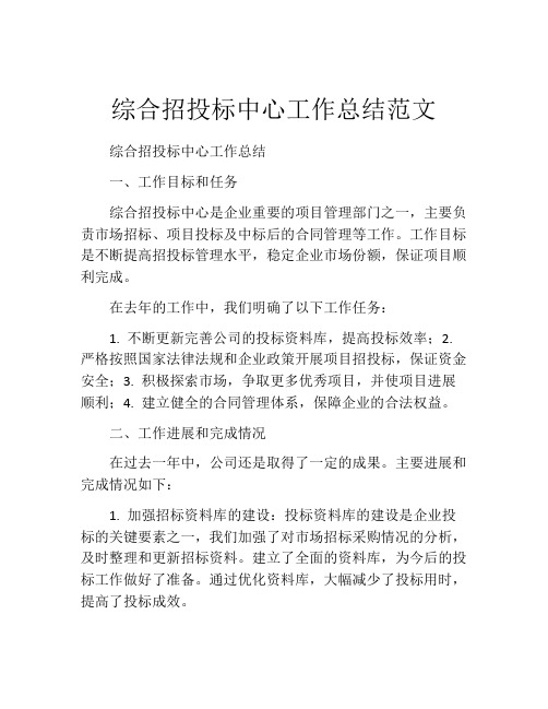 综合招投标中心工作总结范文