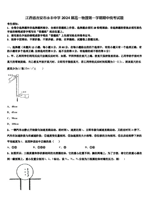 江西省吉安市永丰中学2024届高一物理第一学期期中统考试题含解析