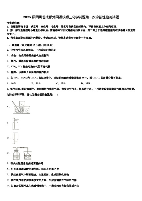 2025届四川省成都外国语校初三化学试题第一次诊断性检测试题含解析