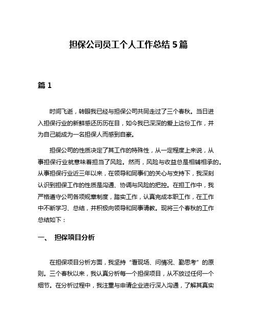 担保公司员工个人工作总结5篇