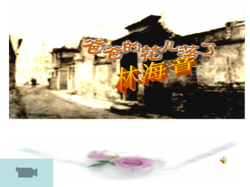 爸爸的花儿落了  课件(完美版)ppt