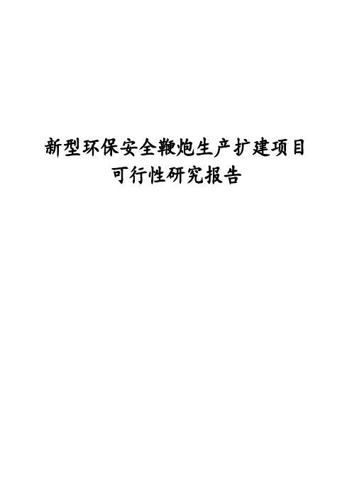 完整版新型环保安全鞭炮生产扩建项目可行性研究报告