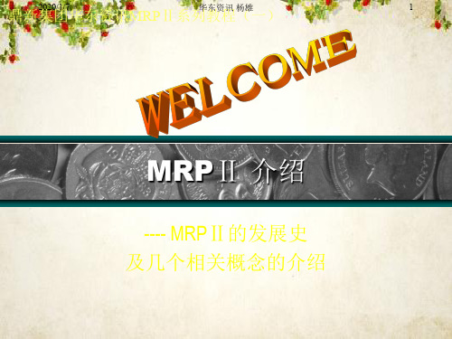 MRP2的发展史及其基本概念(ppt 40页)