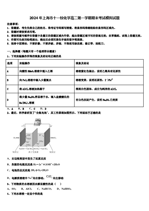 2024年上海市十一校化学高二第一学期期末考试模拟试题含解析