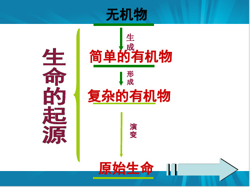 新八年级下册人教版生物课件__生物进化的历程