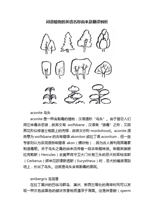 词语植物的英语名称由来及翻译例析