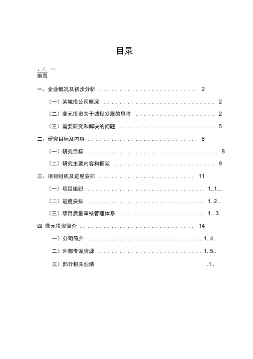 某城投公司战略规划