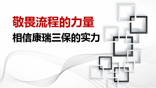 太平福禄康瑞数据展示销售流程体验感悟冲刺规划33页