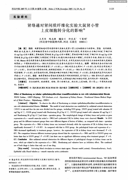 肾络通对肾间质纤维化实验大鼠肾小管上皮细胞转分化的影响