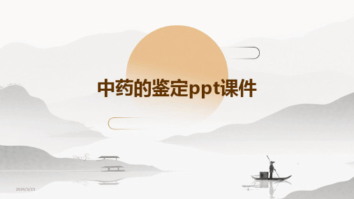 2024年度中药的鉴定ppt课件