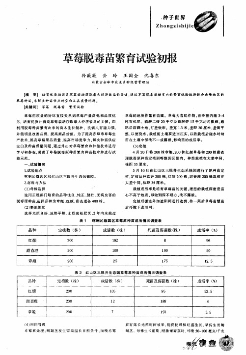 草莓脱毒苗繁育试验初报