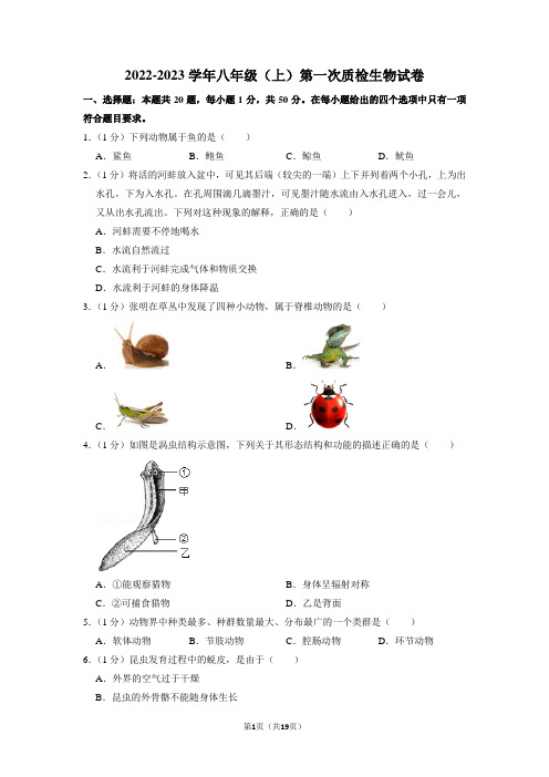 人教版八年级上册生物第一月考试卷 含答案